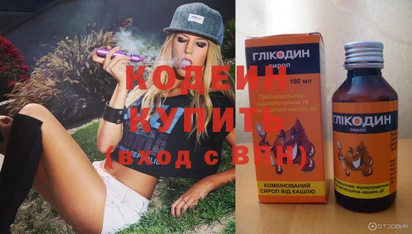 таблы Бородино