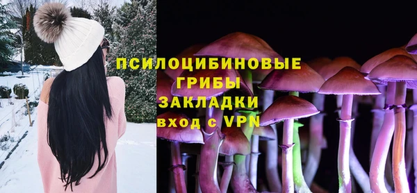 COCAINE Богданович
