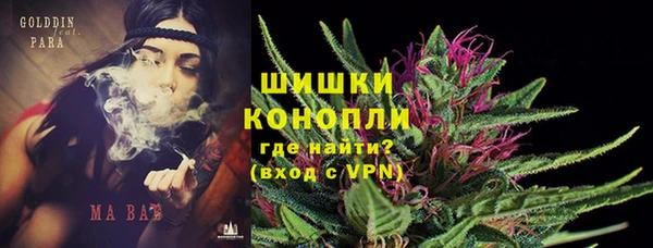 ГАЛЛЮЦИНОГЕННЫЕ ГРИБЫ Бронницы