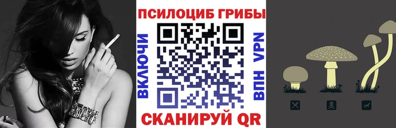 Купить  Котельнич  Галлюциногенные грибы прущие грибы 
