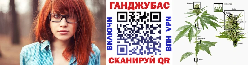Купить где  Котельнич  Канабис ГИДРОПОН 